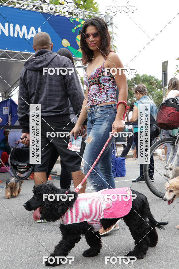 Buy your photos of the event13� C�ominhada - Santos on Fotop