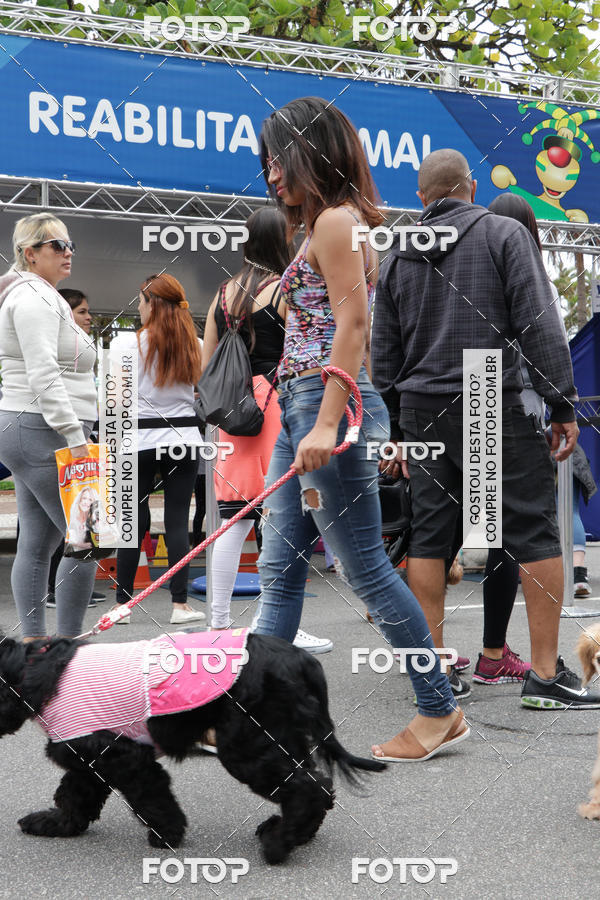 Buy your photos of the event13� C�ominhada - Santos on Fotop