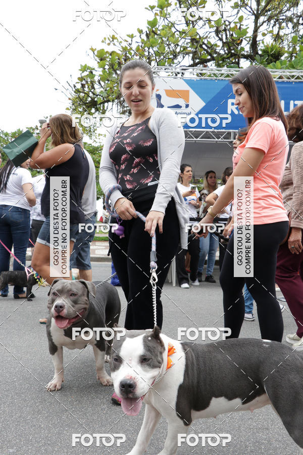 Buy your photos of the event13� C�ominhada - Santos on Fotop