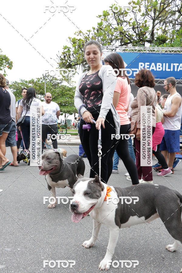 Buy your photos of the event13� C�ominhada - Santos on Fotop