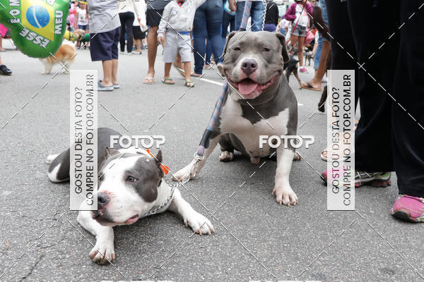 Buy your photos of the event13� C�ominhada - Santos on Fotop