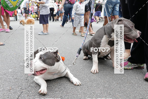 Buy your photos of the event13� C�ominhada - Santos on Fotop