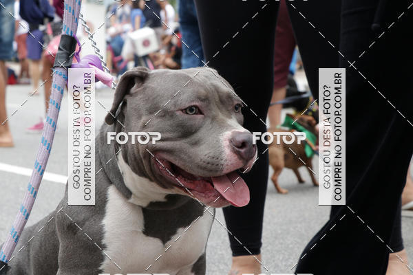 Buy your photos of the event13� C�ominhada - Santos on Fotop