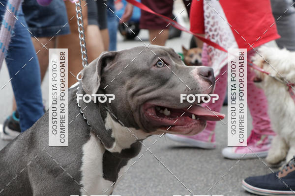 Buy your photos of the event13� C�ominhada - Santos on Fotop