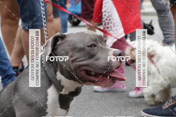 Buy your photos of the event13� C�ominhada - Santos on Fotop