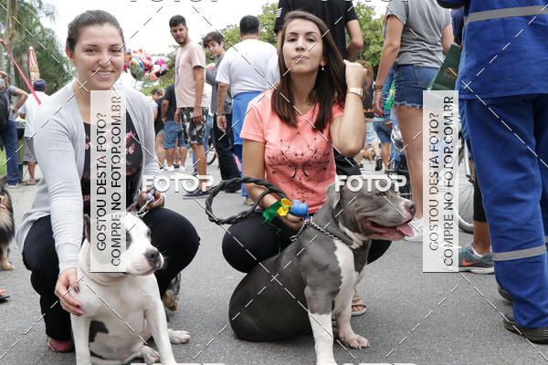 Buy your photos of the event13� C�ominhada - Santos on Fotop