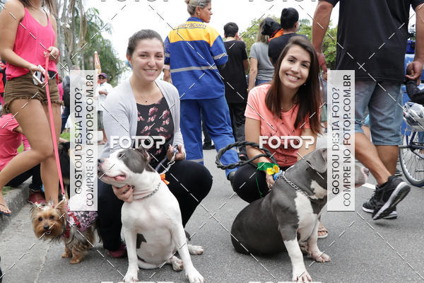 Buy your photos of the event13� C�ominhada - Santos on Fotop