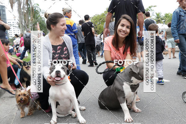 Buy your photos of the event13� C�ominhada - Santos on Fotop