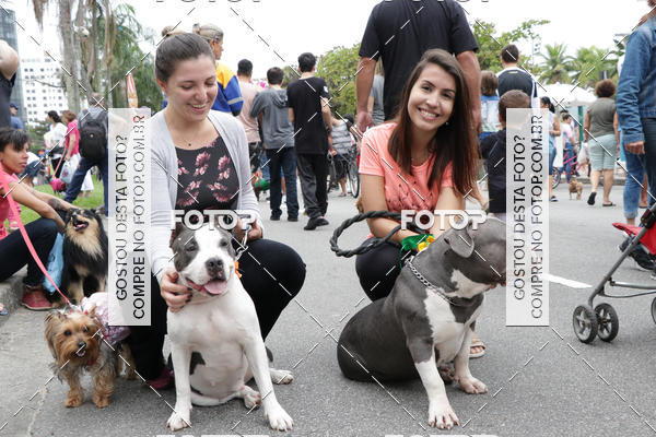 Buy your photos of the event13� C�ominhada - Santos on Fotop