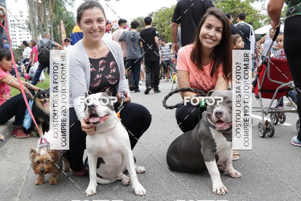 Buy your photos of the event13� C�ominhada - Santos on Fotop