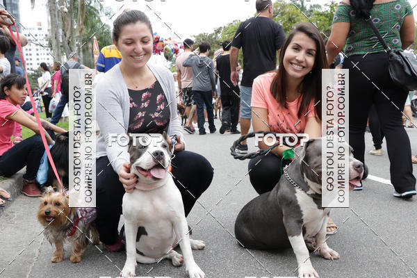 Buy your photos of the event13� C�ominhada - Santos on Fotop