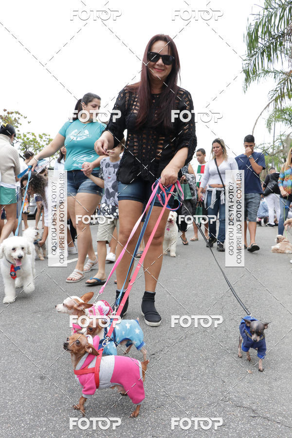 Buy your photos of the event13� C�ominhada - Santos on Fotop