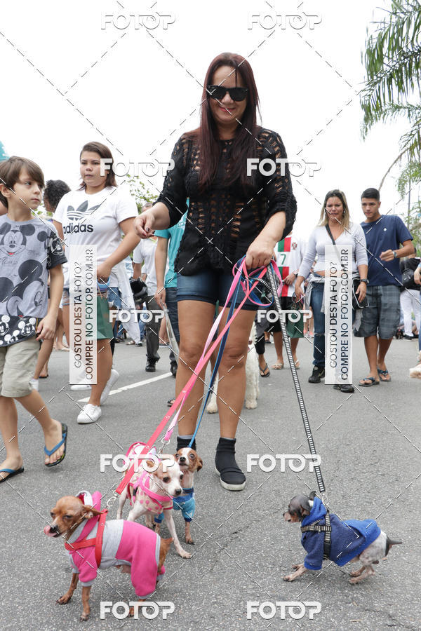 Buy your photos of the event13� C�ominhada - Santos on Fotop