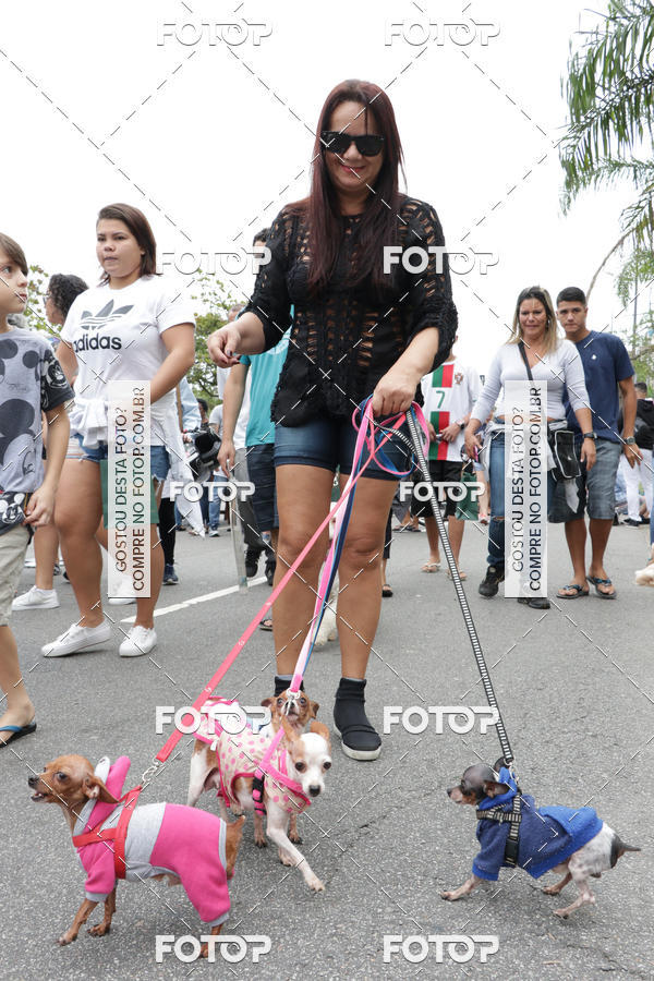 Buy your photos of the event13� C�ominhada - Santos on Fotop
