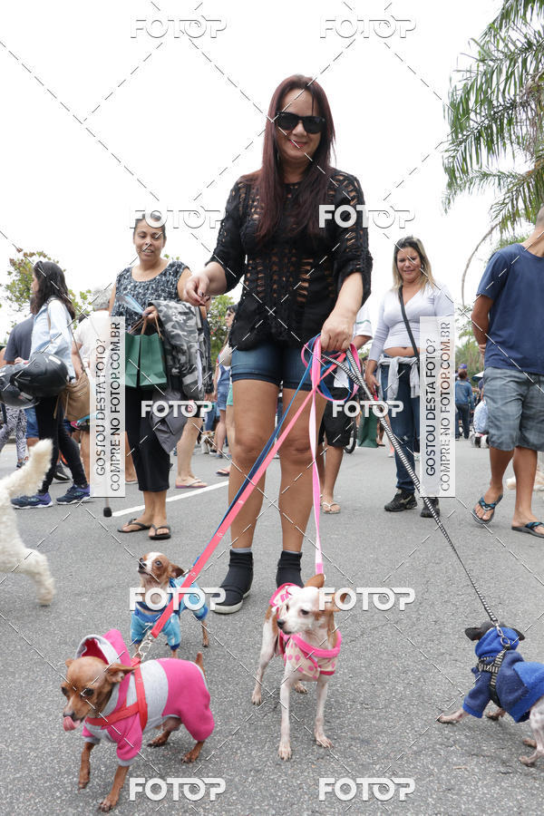 Buy your photos of the event13� C�ominhada - Santos on Fotop