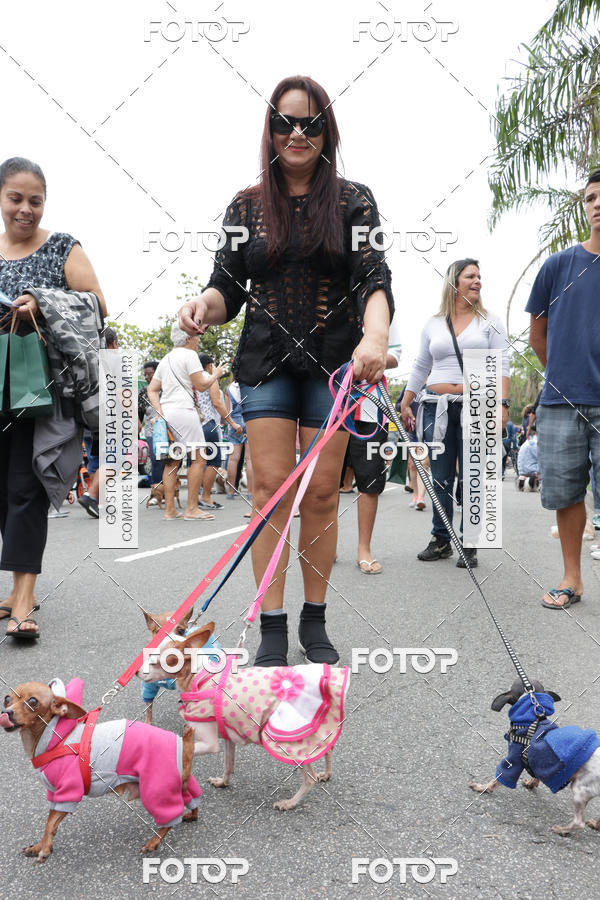 Buy your photos of the event13� C�ominhada - Santos on Fotop
