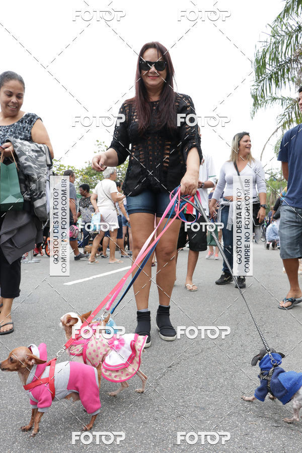 Buy your photos of the event13� C�ominhada - Santos on Fotop