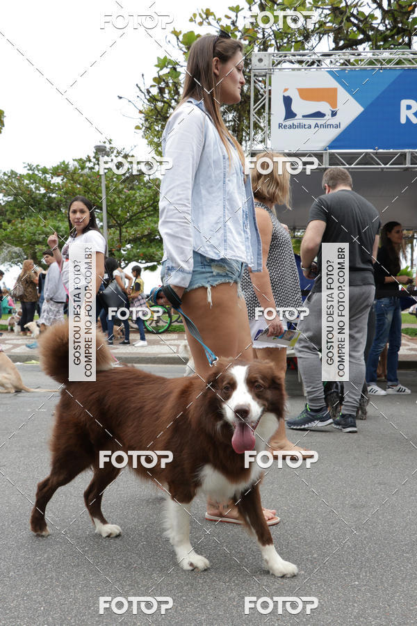 Buy your photos of the event13� C�ominhada - Santos on Fotop