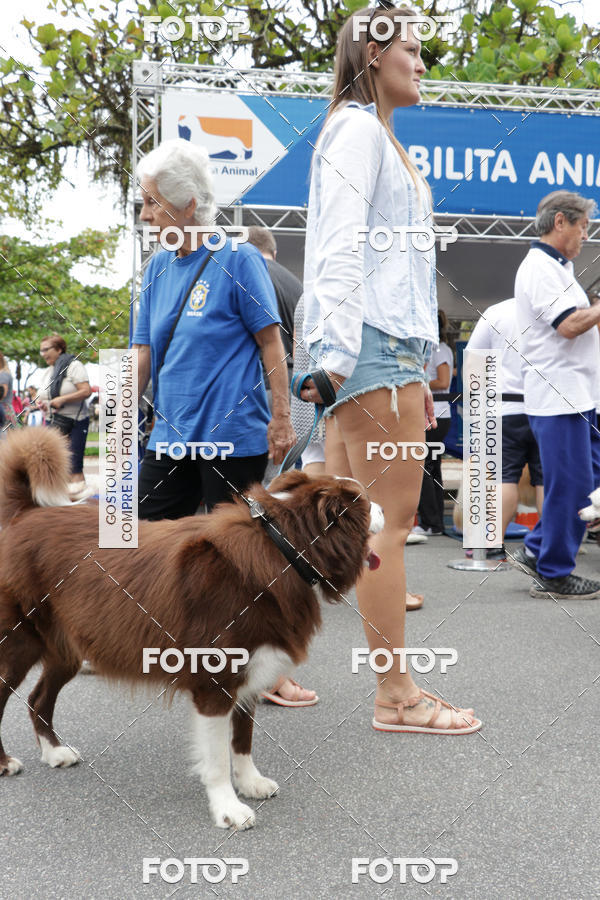 Buy your photos of the event13� C�ominhada - Santos on Fotop