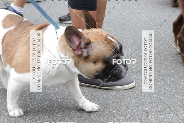 Buy your photos of the event13� C�ominhada - Santos on Fotop