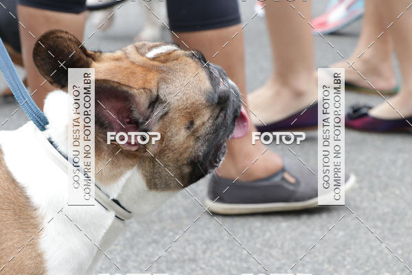 Buy your photos of the event13� C�ominhada - Santos on Fotop