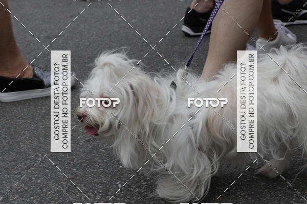 Buy your photos of the event13� C�ominhada - Santos on Fotop