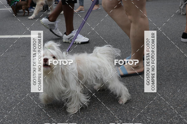 Buy your photos of the event13� C�ominhada - Santos on Fotop