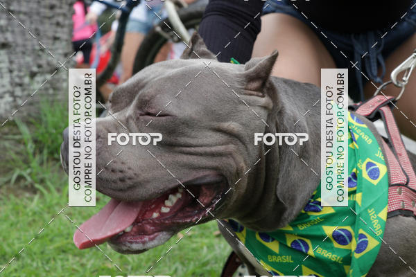 Buy your photos of the event13� C�ominhada - Santos on Fotop