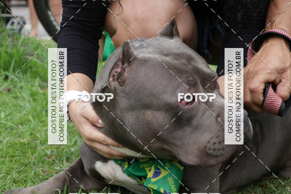 Buy your photos of the event13� C�ominhada - Santos on Fotop