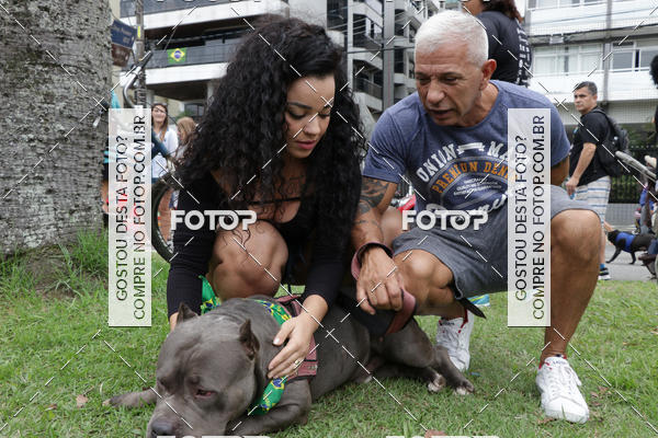 Buy your photos of the event13� C�ominhada - Santos on Fotop