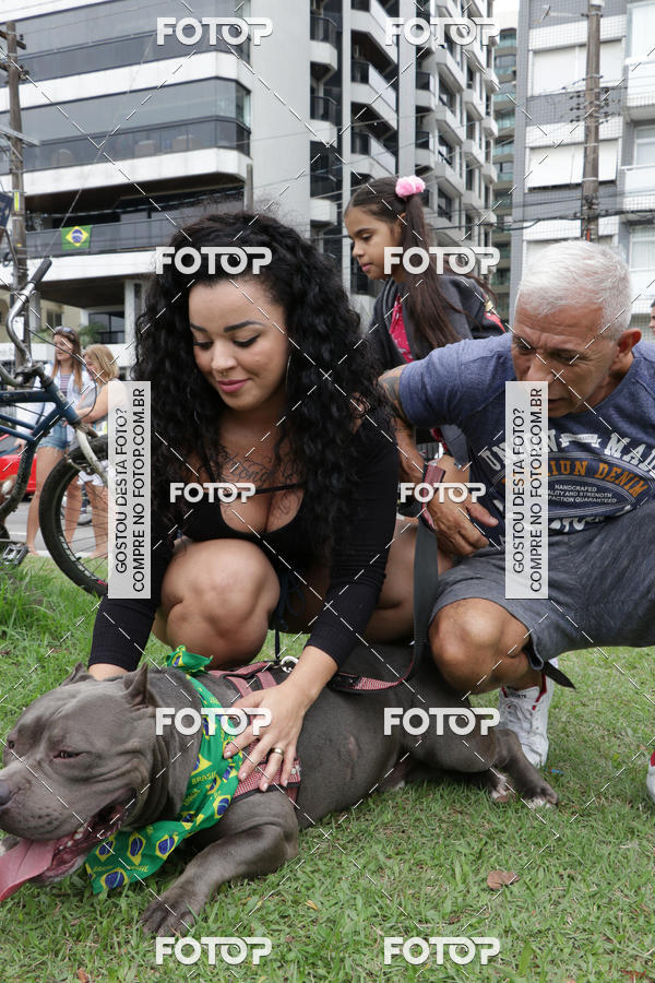 Buy your photos of the event13� C�ominhada - Santos on Fotop