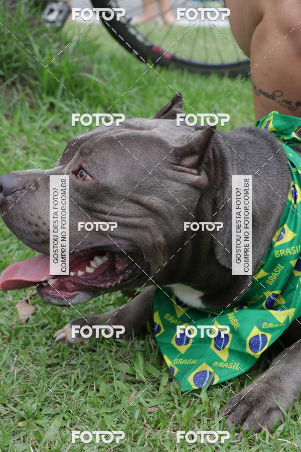 Buy your photos of the event13� C�ominhada - Santos on Fotop