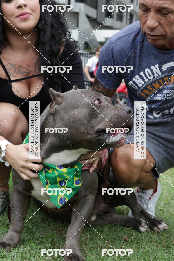 Buy your photos of the event13� C�ominhada - Santos on Fotop