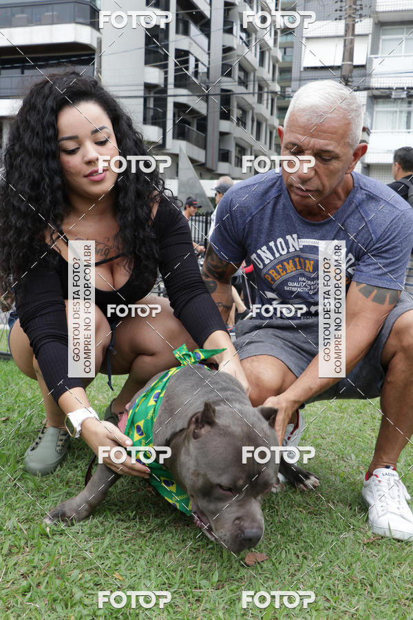 Buy your photos of the event13� C�ominhada - Santos on Fotop