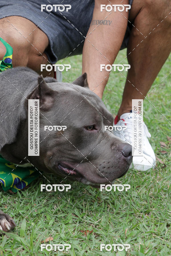 Buy your photos of the event13� C�ominhada - Santos on Fotop