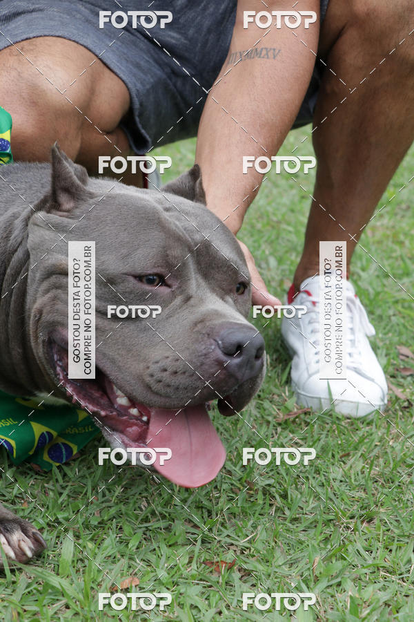 Buy your photos of the event13� C�ominhada - Santos on Fotop