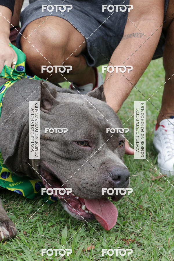 Buy your photos of the event13� C�ominhada - Santos on Fotop