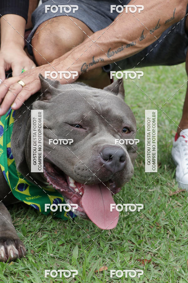 Buy your photos of the event13� C�ominhada - Santos on Fotop