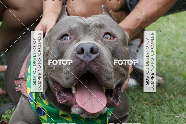 Buy your photos of the event13� C�ominhada - Santos on Fotop