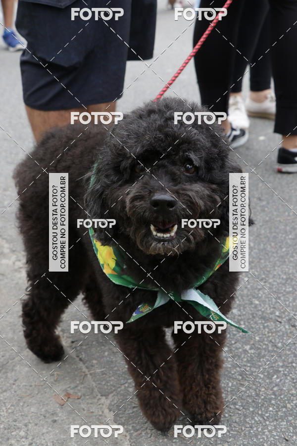 Buy your photos of the event13� C�ominhada - Santos on Fotop