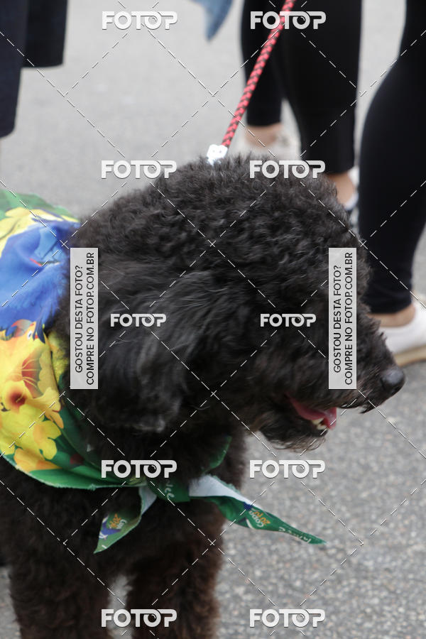 Buy your photos of the event13� C�ominhada - Santos on Fotop