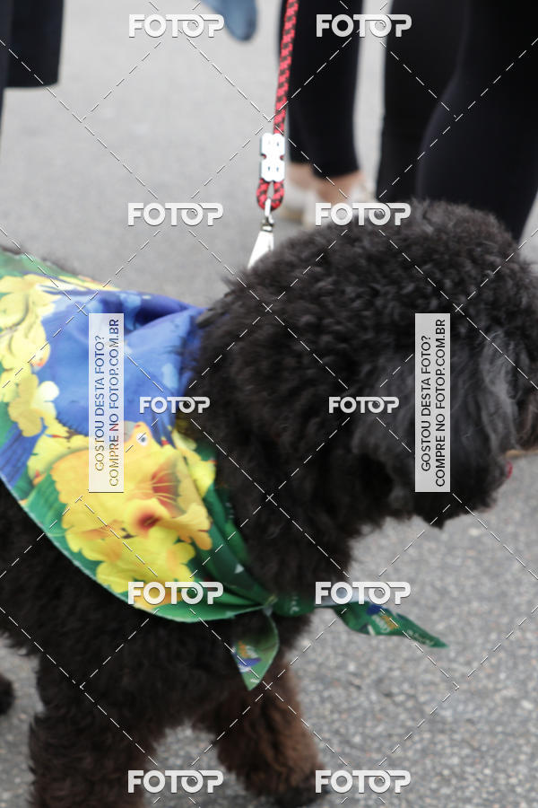 Buy your photos of the event13� C�ominhada - Santos on Fotop