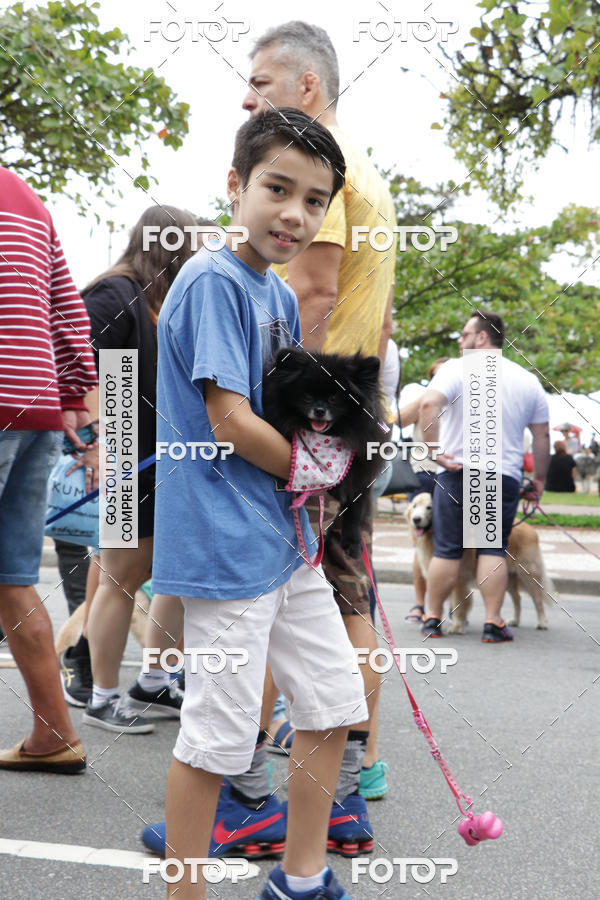 Buy your photos of the event13� C�ominhada - Santos on Fotop