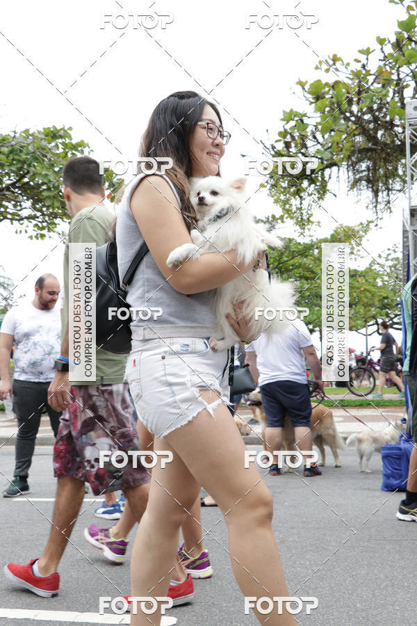 Buy your photos of the event13� C�ominhada - Santos on Fotop