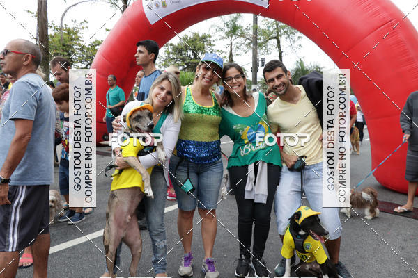 Buy your photos of the event13� C�ominhada - Santos on Fotop