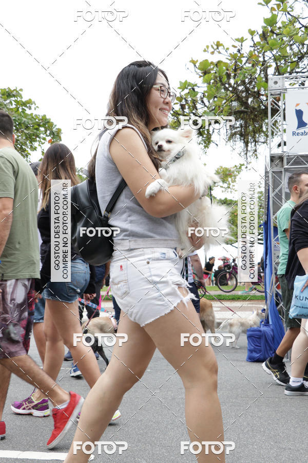 Buy your photos of the event13� C�ominhada - Santos on Fotop