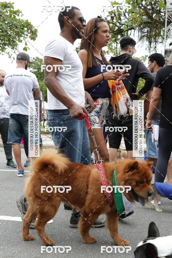 Buy your photos of the event13� C�ominhada - Santos on Fotop