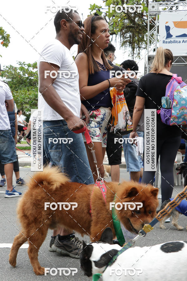 Buy your photos of the event13� C�ominhada - Santos on Fotop