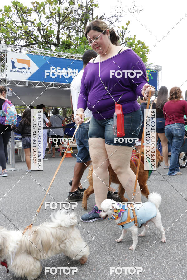 Buy your photos of the event13� C�ominhada - Santos on Fotop