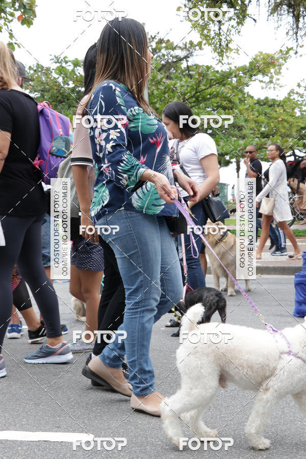 Buy your photos of the event13� C�ominhada - Santos on Fotop